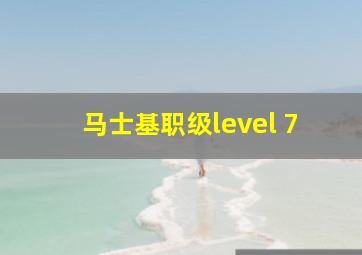 马士基职级level 7